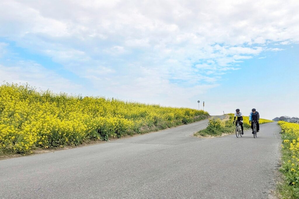 大阪府守口市の川沿い