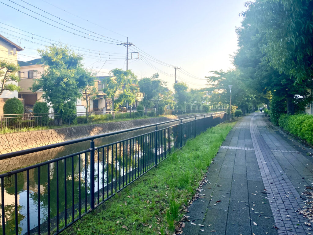 大阪府守口市の自然散策