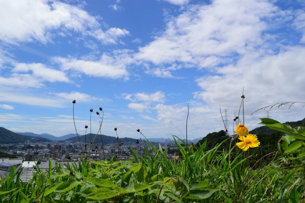 安佐南区の緑豊かな山並み
