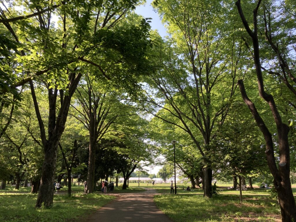 小金井公園の朝日