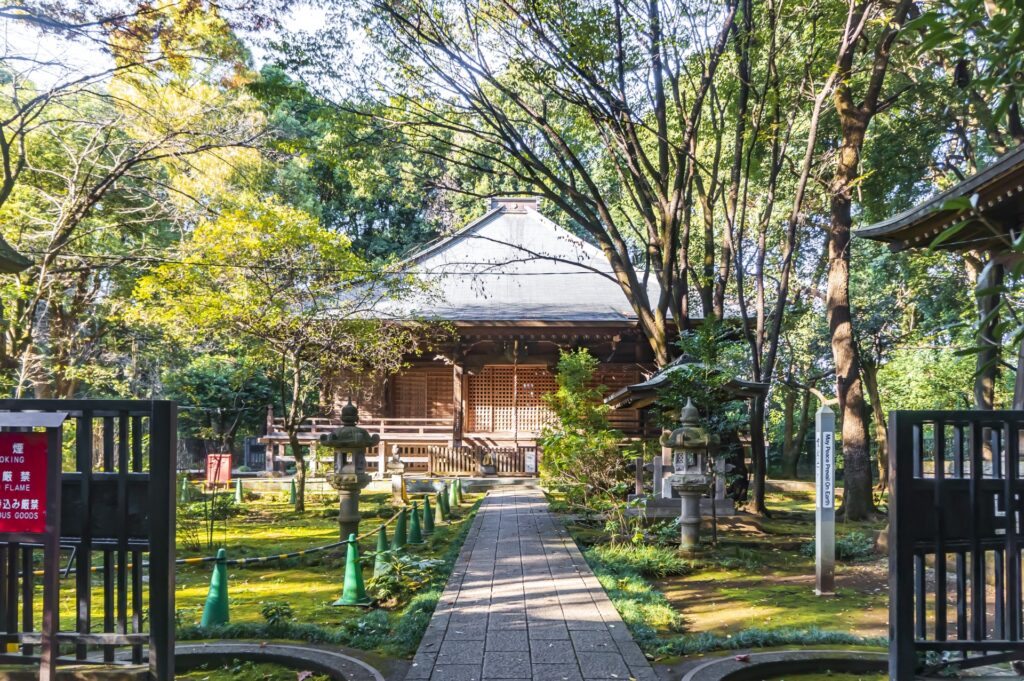 武蔵国分寺跡に残る史跡と芝生広場