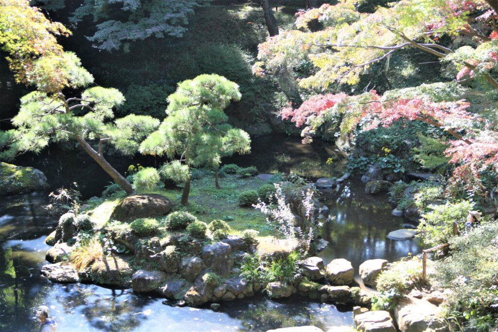 殿ヶ谷戸庭園の紅葉と池