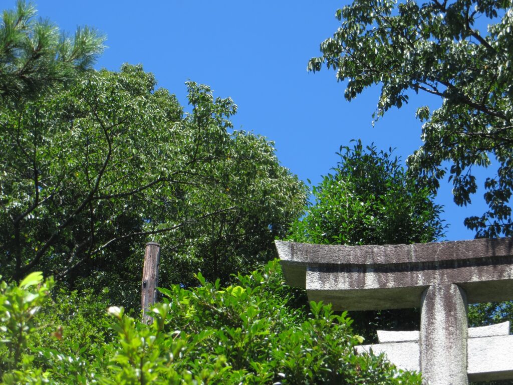 広島市安佐南区の神社の鳥居と森