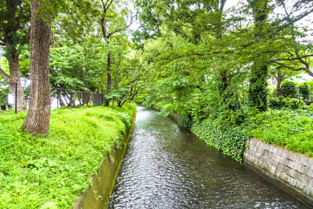 玉川上水沿いと緑豊かな景観