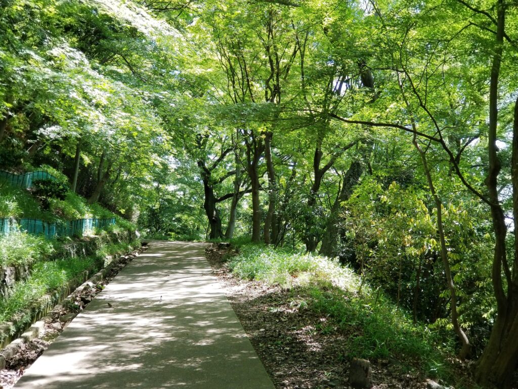 神戸市北区の六甲山登山道
