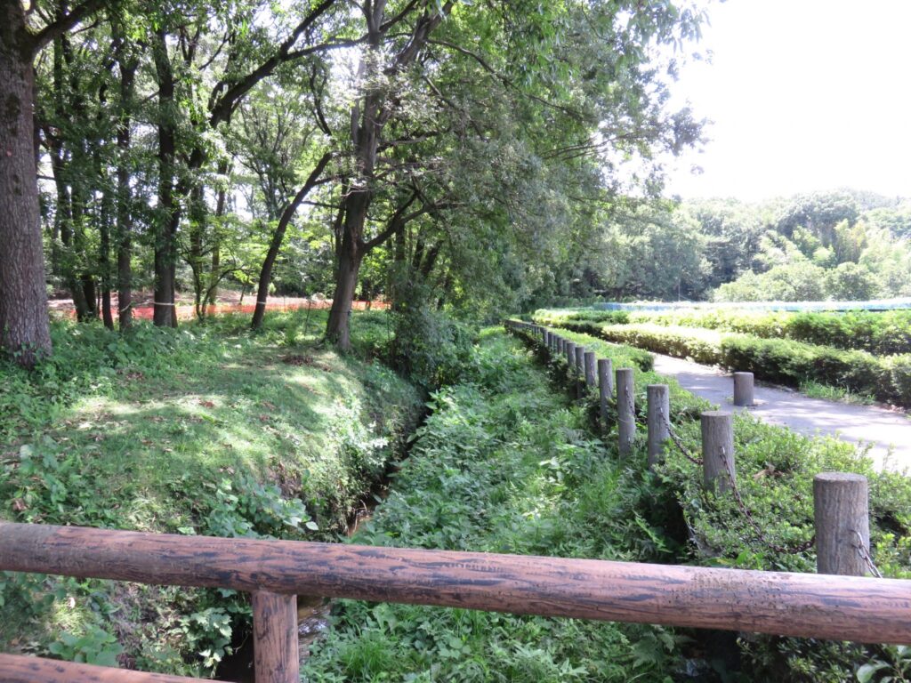 野火止用水と緑道